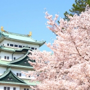 春のお出かけスポットIN名古屋!!