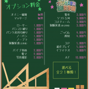 当店のオプションについて