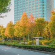 寒暖差で体調を崩さない方法